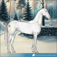 Horse Color:Watercolor White Spotted Gold Champagne Ice Mushroom Varnish 