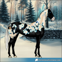 Horse Color:Watercolor White Spotted Gold Cream Champagne Pearl Dun Splash Appaloosa 