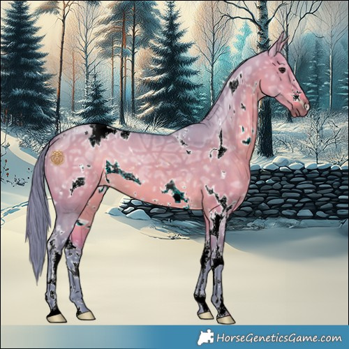 Horse Color:Watercolor White Spotted Bay Ice Dun Sabino 