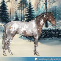 Horse Color:White Spotted Liver Chestnut Mushroom 
