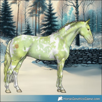Horse Color:Gray Watercolor White Spotted Liver Chestnut Pearl Tobiano 