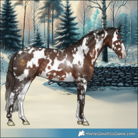 Horse Color:White Spotted Liver Chestnut Splash 