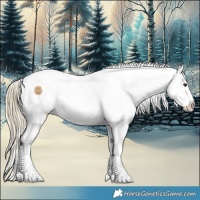 Horse Color:White Spotted Chocolate Palomino Ice Dun Splash Snowflake Varnish