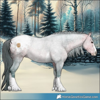 Horse Color:Watercolor Buckskin Ice Snowcap 