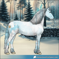 Horse Color:Watercolor White Spotted Black Ice 