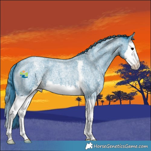 Horse Color:Watercolor Blue Roan Sabino Splash 