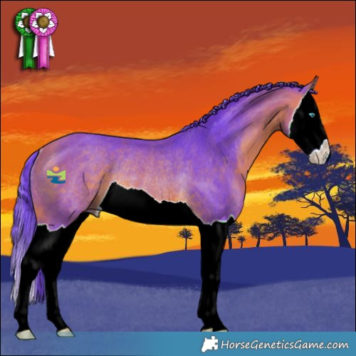 Horse Color:Watercolor Bay Splash Rabicano 