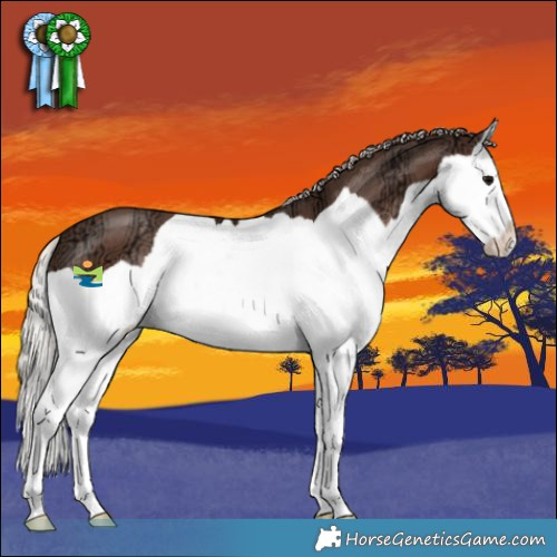 Horse Color:Silver Black Ice Splash 