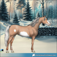 Horse Color:Silver Amber Champagne Frame 