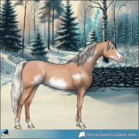 Horse Color:Silver Amber Champagne Frame 