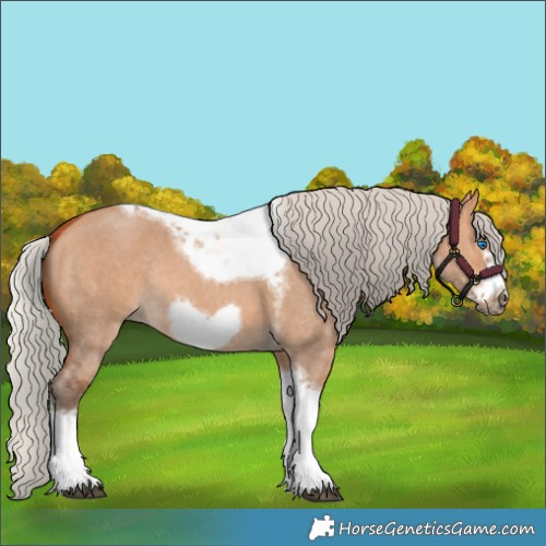 Horse Color:Silver Bay Dun Sabino Tobiano Frame Rabicano 