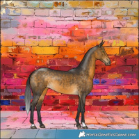 Horse Color:Buckskin Rabicano