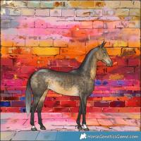 Horse Color:Buckskin Rabicano