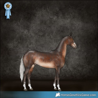 Horse Color:Silver Brown Rabicano 
