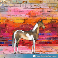 Horse Color:Buckskin Tobiano Rabicano