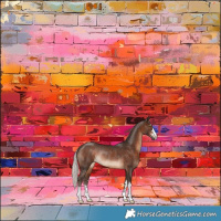 Horse Color:Silver Brown Rabicano 