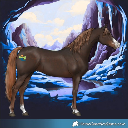 Horse Color:Liver Chestnut Sabino Tobiano 