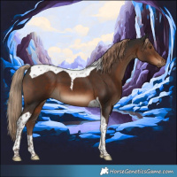 Horse Color:Liver Chestnut Tobiano 