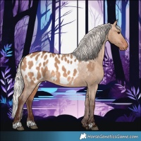 Horse Color:Silver Brown Dun Appaloosa