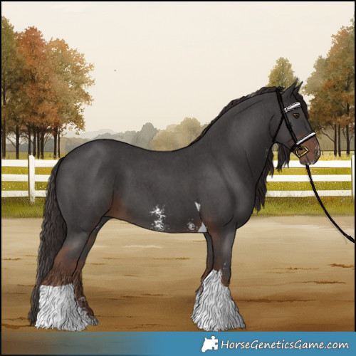 Horse Color:Liver Chestnut Sabino Tobiano 