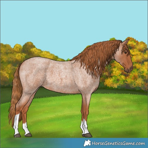 Horse Color:Red Roan Tobiano