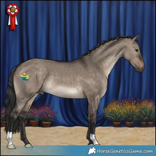 Horse Color:Brown Dun 