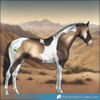 Horse Color:Brown Onyx Tobiano 