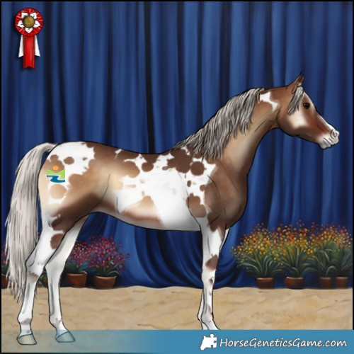 Horse Color:Silver Brown Onyx Tobiano 