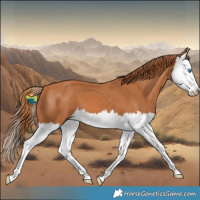 Horse Color:Chestnut Splash 
