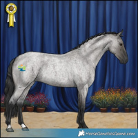 Horse Color:Grullo Roan