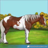 Horse Color:Silver Brown Tobiano Frame