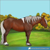 Horse Color:Silver Brown Tobiano Rabicano 