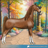 Horse Color:Gray Chestnut 