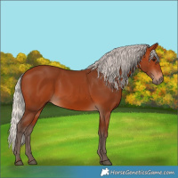 Horse Color:Silver Bay 