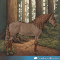 Horse Color:Liver Red Dun 