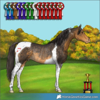 Horse Color:Buckskin Tobiano Appaloosa Rabicano