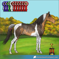 Horse Color:Buckskin Tobiano Appaloosa Rabicano 