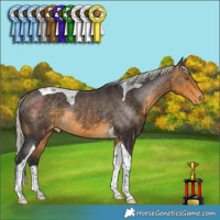 Horse Color:Silver Buckskin Tobiano Varnish Rabicano 