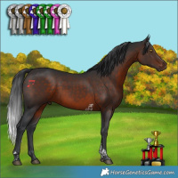 Horse Color:Brown Tobiano