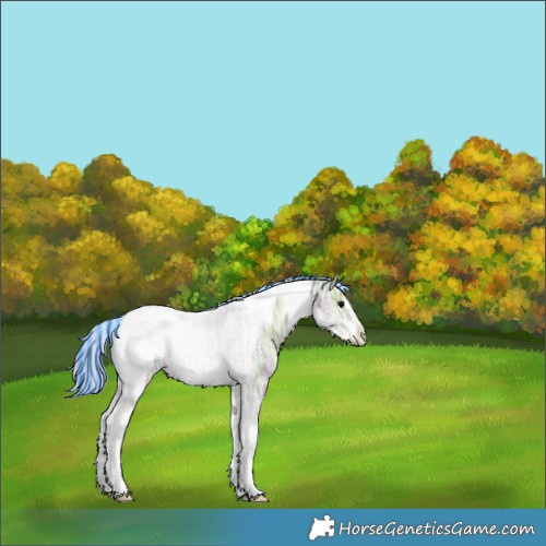 Horse Color:Painted Silver Blue Onyx Ice Tobiano Frame Rabicano 