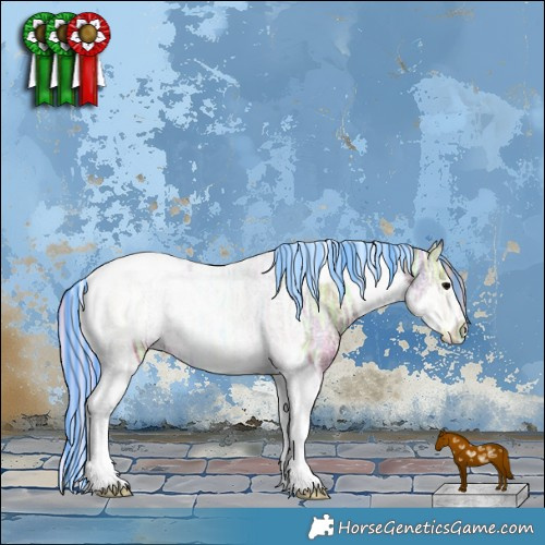 Horse Color:Painted Silver Blue Onyx Ice Tobiano Frame Rabicano 
