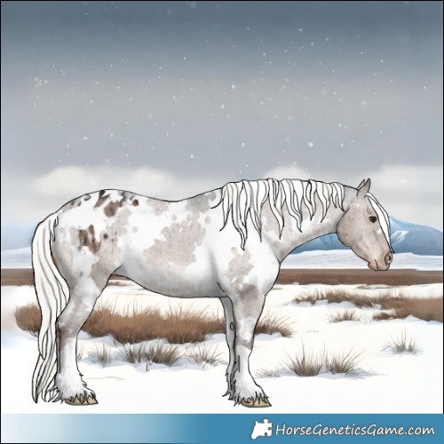 Horse Color:White Spotted Liver Red Dun Mushroom Appaloosa Brindle 