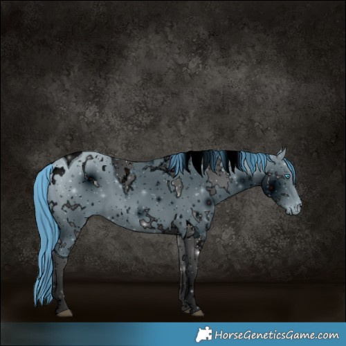 Horse Color:ERROR: UNKNOWN ANOMALY