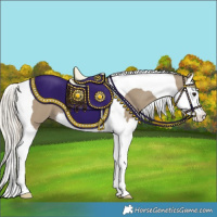 Horse Color:Silver Smoky Grullo Splash Tobiano