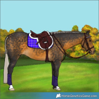 Horse Color:Silver Buckskin