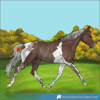 Horse Color:Silver Black Tobiano Rabicano 