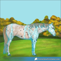 Horse Color:Void Thunderstruck White Spotted Liver Chestnut Ice Pearl 