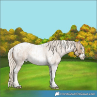 Horse Color:Chocolate Palomino Roan Pearl Tobiano Frame  and Chocolate Palomino Roan Pearl Tobiano Frame 