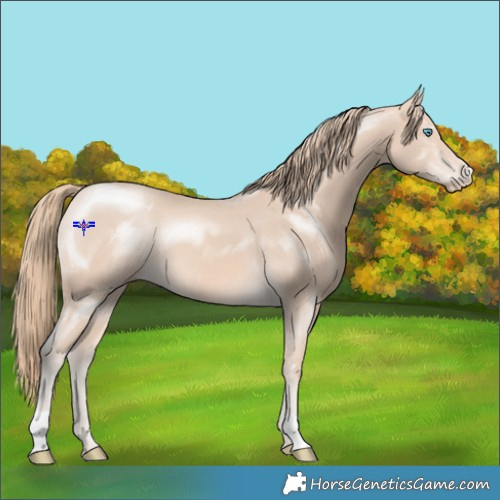 Horse Color:Perlino 