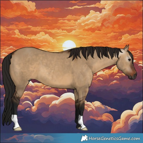 Horse Color:Gray Bay Dun 
